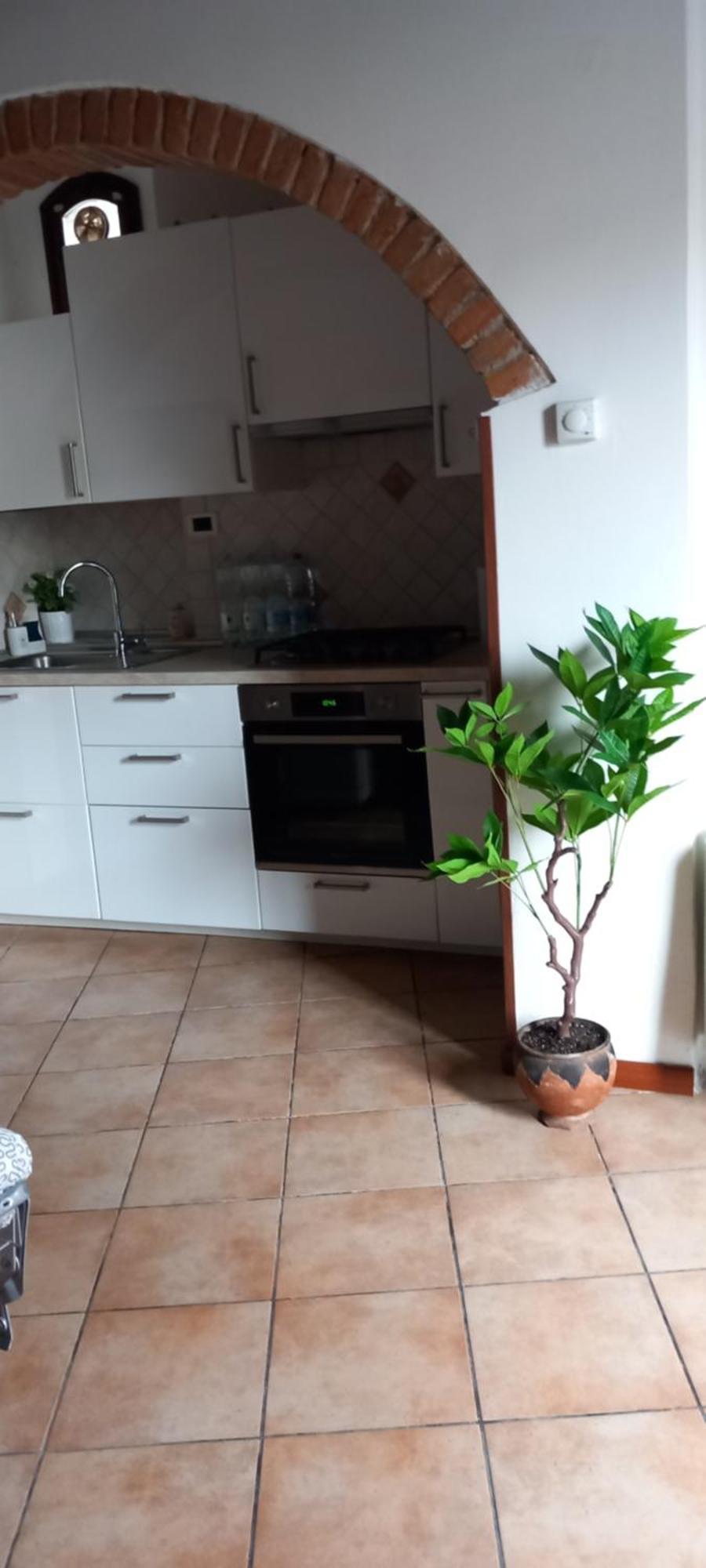 Casa Di Mary Daire Pisa Dış mekan fotoğraf